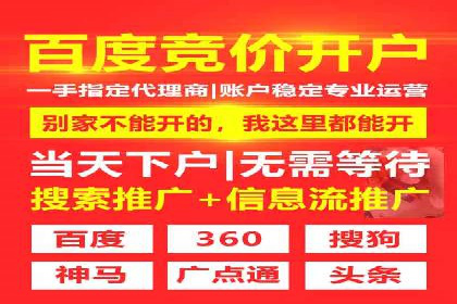 竞价推广策略：某电商平台的成功案例