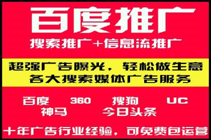 搜索引擎优化（SEO）与竞价广告（SEM）的对比案例
